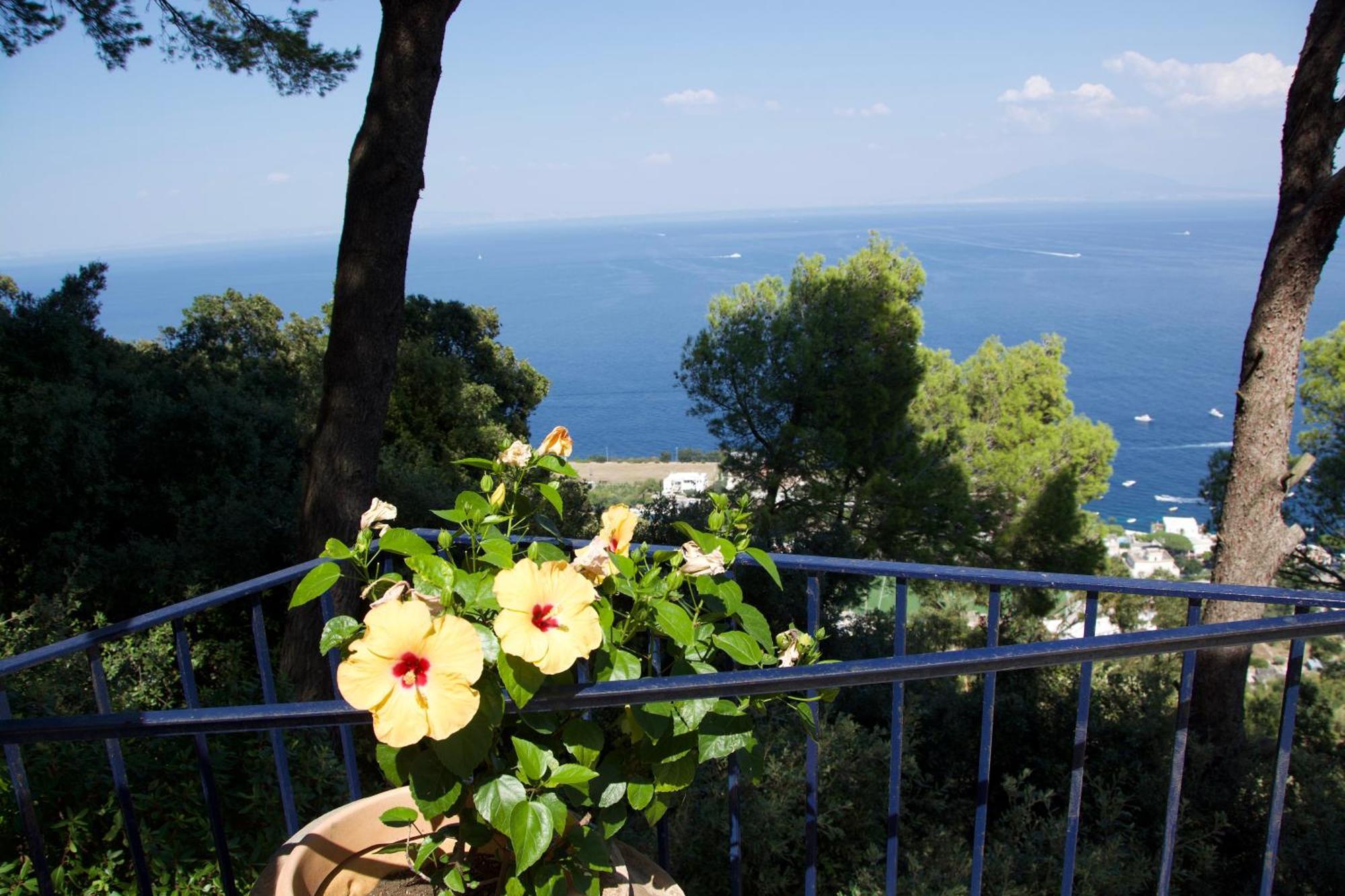 La Casa Nel Bosco Hotel Capri Exterior photo