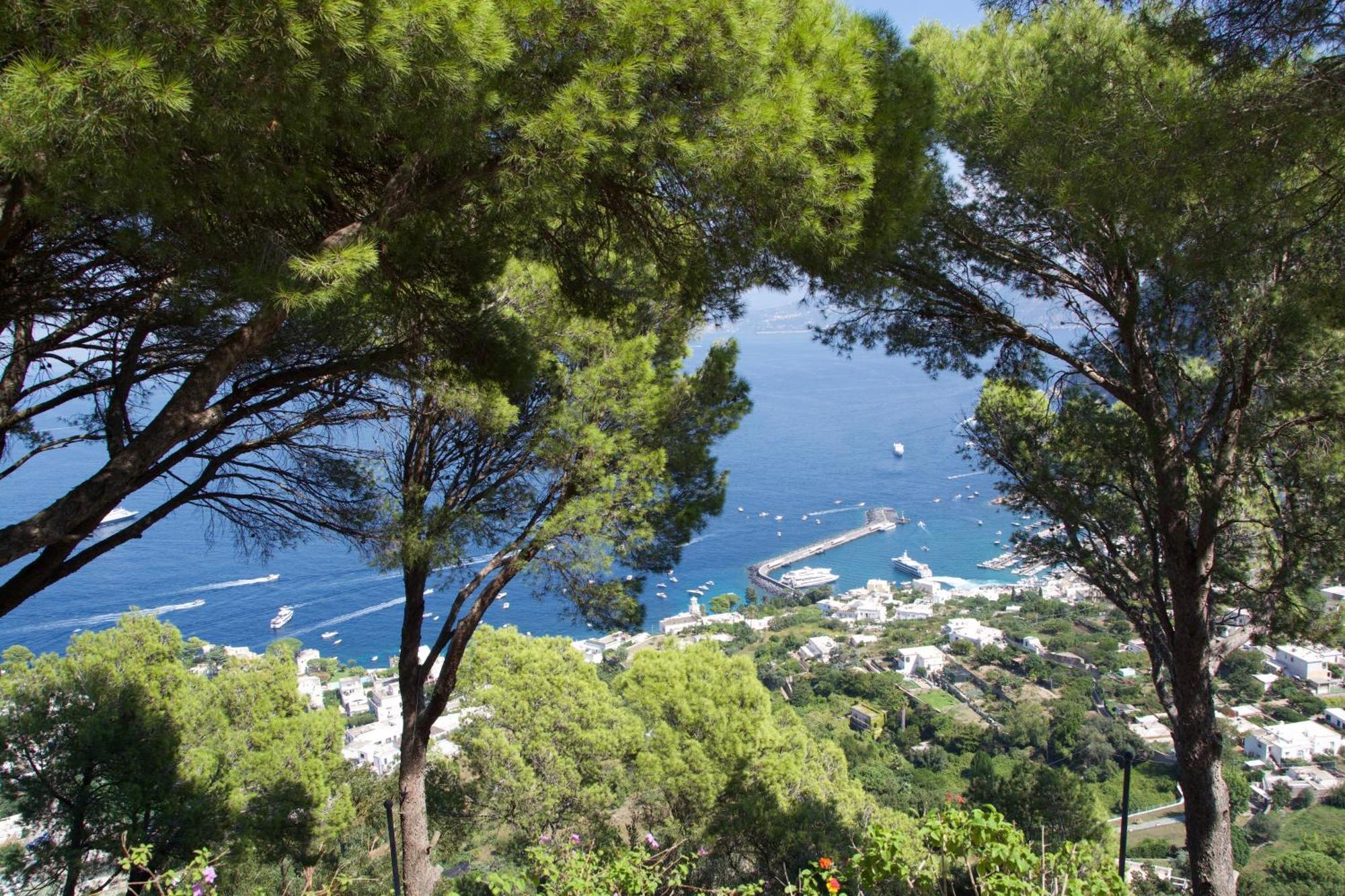 La Casa Nel Bosco Hotel Capri Exterior photo